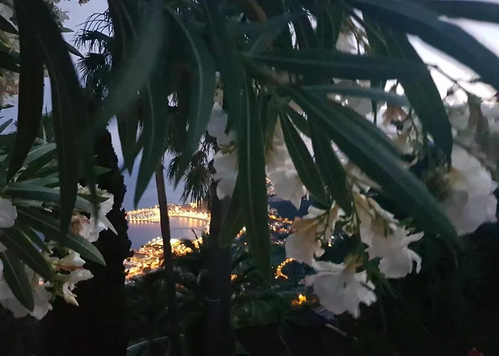 Panoramica Apartment