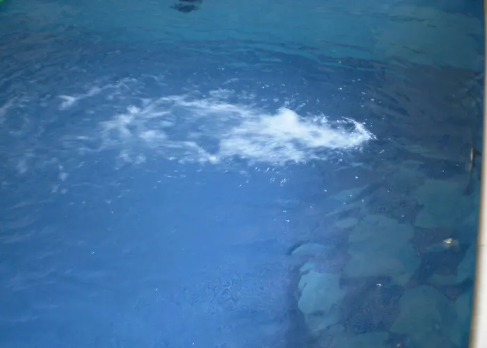 Panoramica Ментона